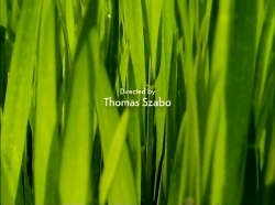 خیلی خیلی کوچک (1) (خودشیفته)